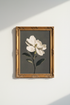 Iris_Kaempferi_7121442-125919-5B8_closeup_shot1.png