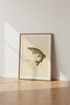 Northern Pike Vintage Fish Print | Rustic Lake House Wall Art | Antique Nature Poster