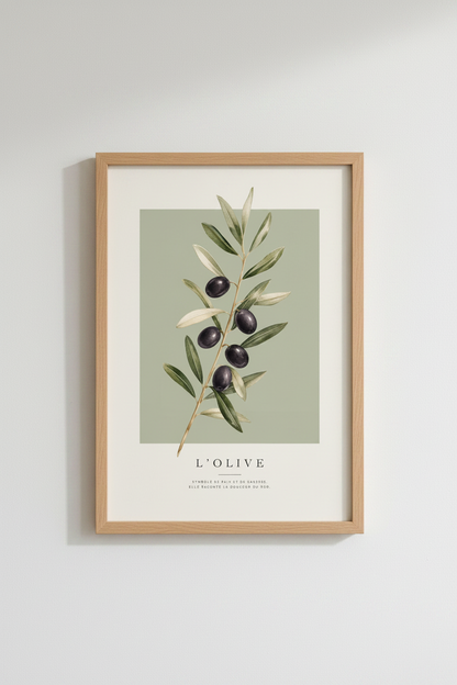 Olive Branch Botanical Print | Sage Green French Decor, Mediterranean Wall Art