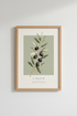 Olive Branch Botanical Print | Sage Green French Decor, Mediterranean Wall Art