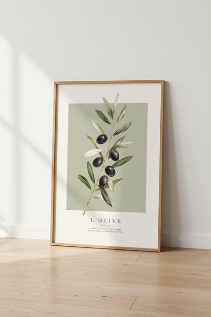 Olive Branch Botanical Print | Sage Green French Decor, Mediterranean Wall Art