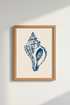 Blue Seashell Wall Art Print | Coastal Bathroom Decor | Minimalist Nautical Poster