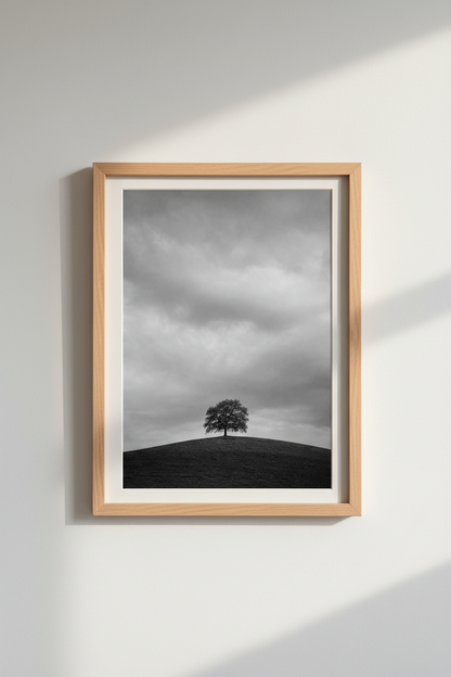 Nature Landscape Print | Minimalist Black &amp; White Tree, Moody Home Decor Art