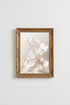 MagnoliaBlossom_170167-073756-15M_closeup_shot1.png