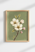 Magnolia_Blossoms_8902931-191910-18H_closeup_shot1.png