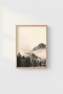 MistyForest_2842524-185601-EXY_closeup_shot1.png