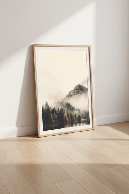 MistyForest_2842524-185601-EXY_floor_shot3.png
