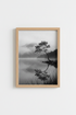 MistyRiver_Trees_9709011_mockup1_closeup.png