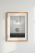 Misty Nature Wall Art | Minimalist Black and White Foggy Tree Poster, Zen Decor