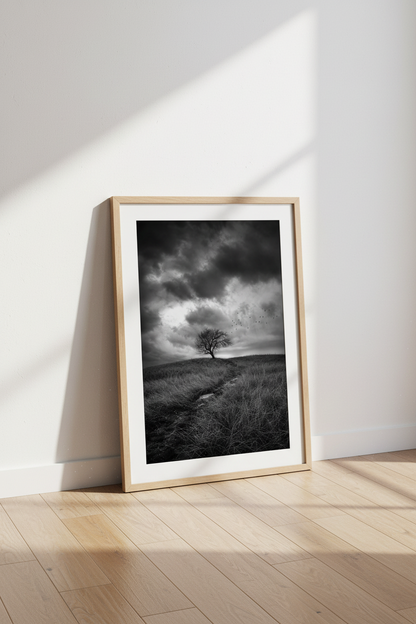 Gothic Landscape Wall Art | Moody Black and White Nature Poster | Dark Academia Decor