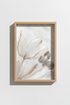 Monstera_Leaves_123254-171242-QKY_closeup_shot1.png