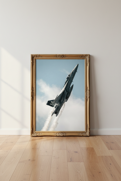 Navy_Aerobatics_8167831-175017-JFD_floor_shot2.png