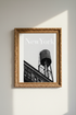 NewYork_Pigeons_TrafficLights_162448-174937-798_closeup_shot1.png