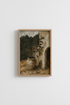 OldCat_Garden_3471743-172001-0P0_closeup_shot1.png