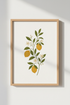 Lemon Branch Botanical Wall Art | Kitchen Decor | Minimalist Citrus Poster