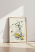 Japanese Still Life Watercolor | Blossom & Fruit Art, Japandi Zen Decor