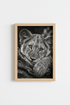 Orangutan_CloseUp_1815473-171242-QKY_closeup_shot1.png