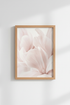 PalePinkPetals_121904-171242-QKY_closeup_shot1.png