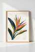 PalmLeafAbstract_3163768-191910-18H_closeup_shot1.png