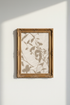 PalmLeafShadows_1395498-174937-798_closeup_shot1.png