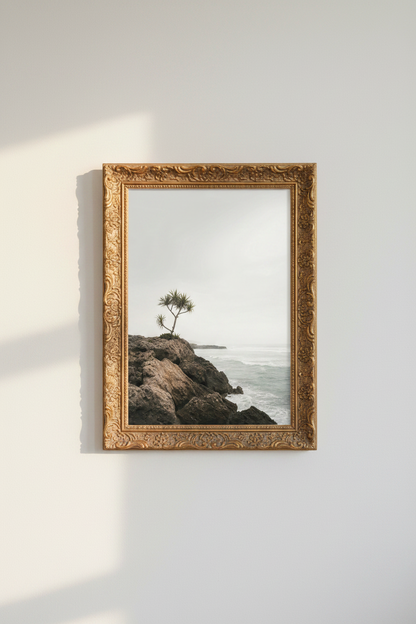 PalmTrees_Beach_2488990-073756-15M_closeup_shot1.png