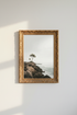 PalmTrees_Beach_2488990-073756-15M_closeup_shot1.png