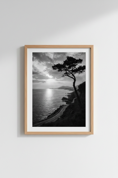 PalmTrees_OceanView_0120579_mockup1_closeup.png