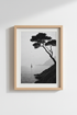 Palm_Tree_Waterfront_6720379_mockup1_closeup.png
