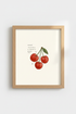 Peach_0202176_mockup1_closeup.png