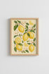 Pears_And_Flowers_9462655-171242-QKY_closeup_shot1.png