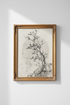PineTree_Illustration_3979835-075257-M91_closeup_shot1.png