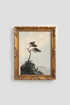 PineTree_Landscape_3976757-075257-M91_closeup_shot1.png