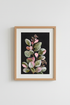 PinkAndGreenPlants_3264074-191910-18H_closeup_shot1.png