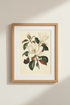 PinkRoses_Butterfly_5873254-172001-0P0_closeup_shot1.png