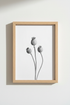 PoppyPods_SeedHeads_115653-171242-QKY_closeup_shot1.png