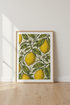 Vintage Lemon Botanical Print | Kitchen Wall Art | Rustic Citrus Poster