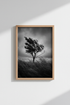 Moody Nature Wall Art Print | Black and White Tree Poster, Minimalist Dramatic Landscape