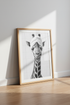 Giraffe in Towel Wall Art | Black and White Bathroom Decor | Funny Animal Poster
