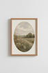 River_Landscape_1786953-195448-T8J_closeup_shot1.png
