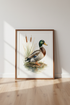 Mallard Duck Watercolor Wall Art Print | Cabin Decor | Nature Wildlife Poster