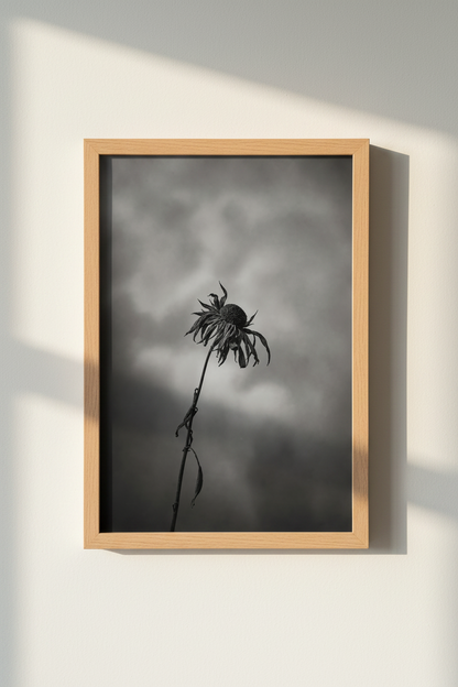 Moody Floral Wall Art | Black and White Flower Photography, Gothic Home Decor