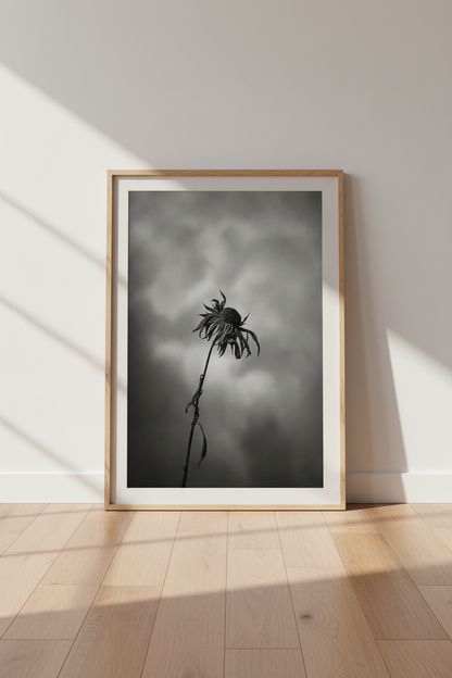 Moody Floral Wall Art | Black and White Flower Photography, Gothic Home Decor
