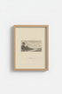 RuralLandscape_1882_5480530-195448-T8J_closeup_shot1.png