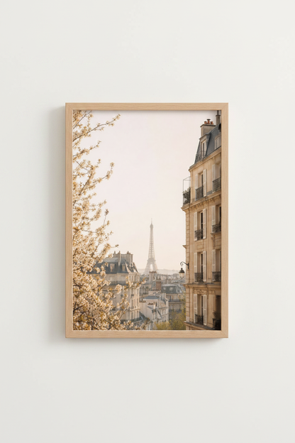 SacrCur_Paris_9460705-171209-S1U_closeup_shot1.png