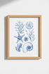 Coastal Blue Wall Art Print | Nautical Watercolor Seashells, Beach House Decor
