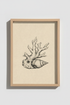 Seashell_Sketch_9726345-195448-T8J_closeup_shot1.png