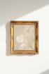 Seashells_1725948-174937-798_closeup_shot1.png