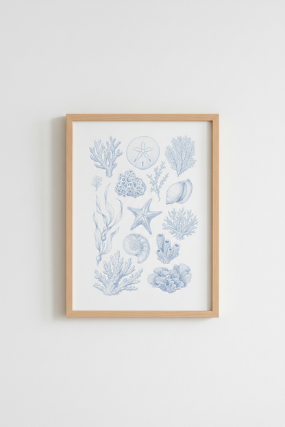 Blue Shell Wall Art Print | Coastal Bathroom Decor | Nautical Sea Life Poster