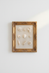 Seashells_Coral_6833714-174937-798_closeup_shot1.png