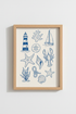 Seashells_Illustration_6480527-095145-OEE_closeup_shot1.png